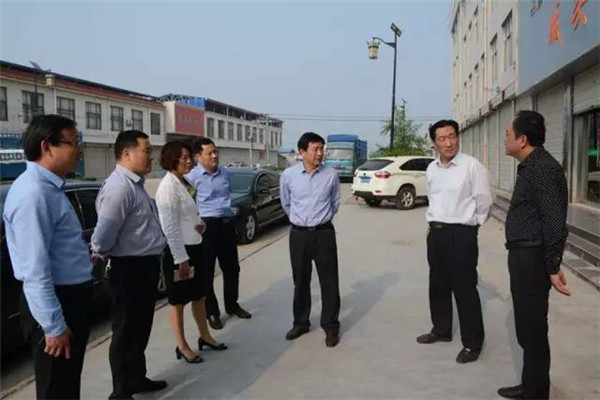 省、市、區(qū)、鎮(zhèn)領導來公司視察 (3).jpg